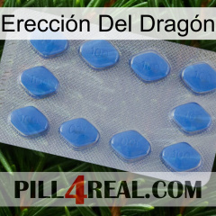 Erección Del Dragón 21